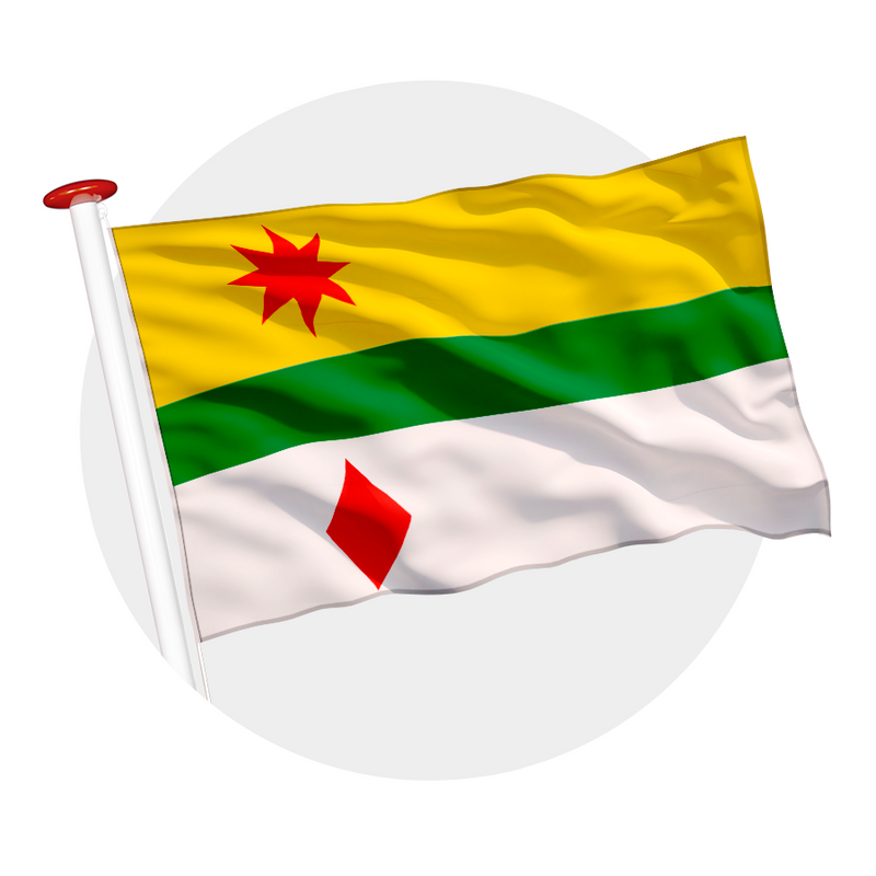Vlag Lansingerland