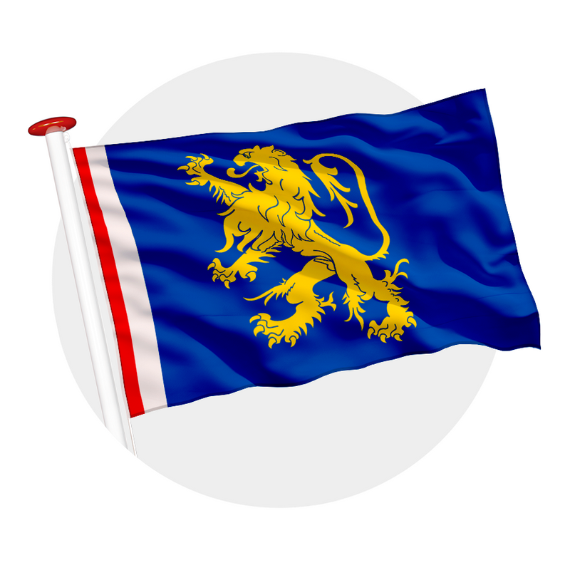 Vlag Leeuwarden