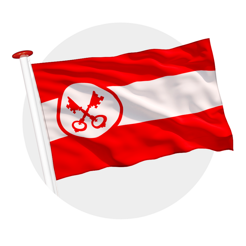Vlag Leiden