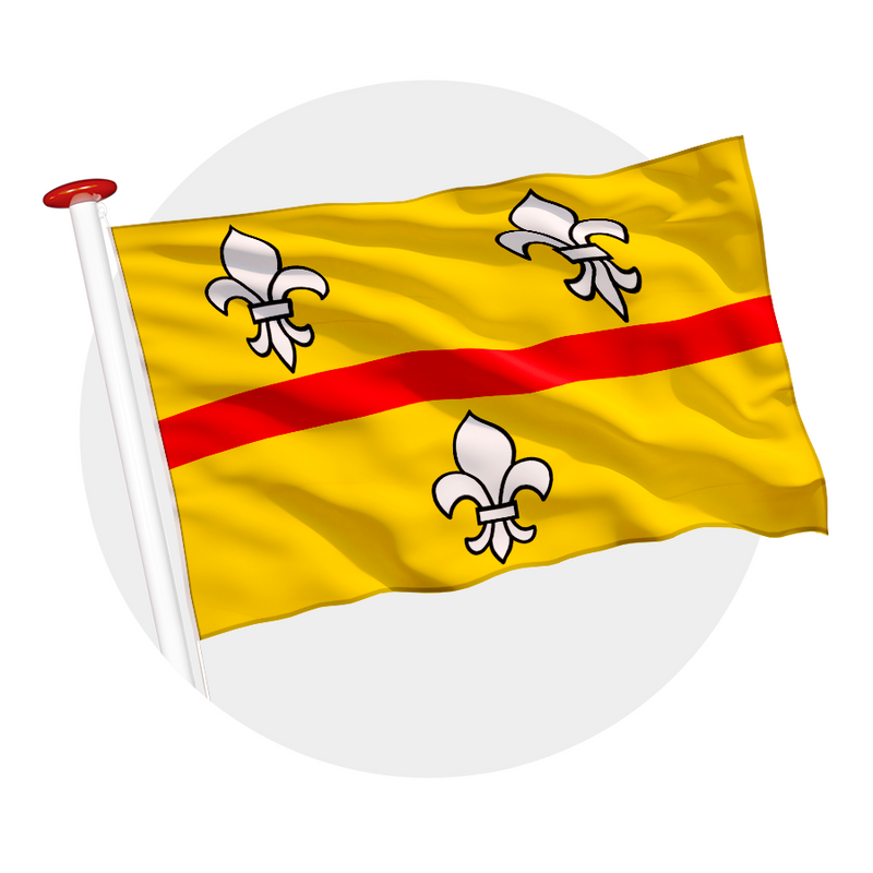 vlag Loenen