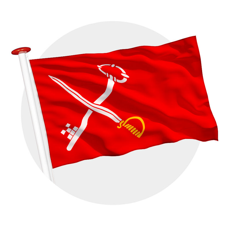 Vlag Loppersum
