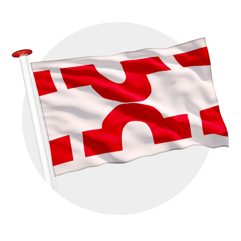 Vlag Losser