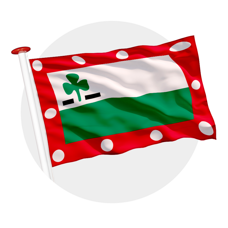 Vlag Meppel