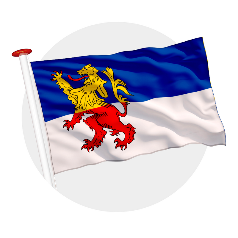 Vlag Neder-Betuwe