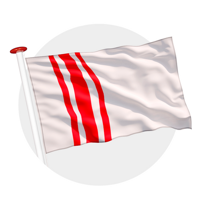 vlag Oisterwijk
