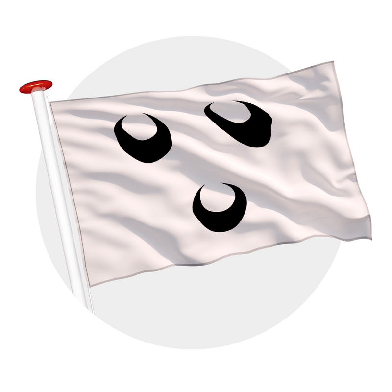 Vlag Oosterhout
