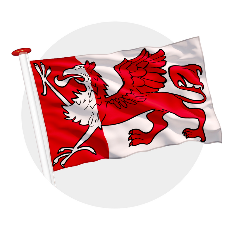 Vlag Ooststellingwerf