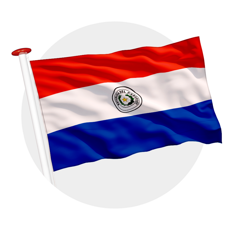 Vlag Paraguay