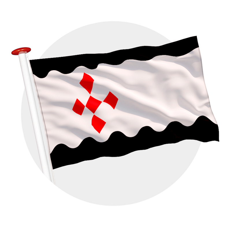 Vlag Peel en Maas