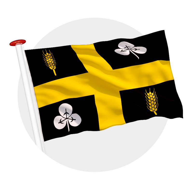 Vlag Raalte