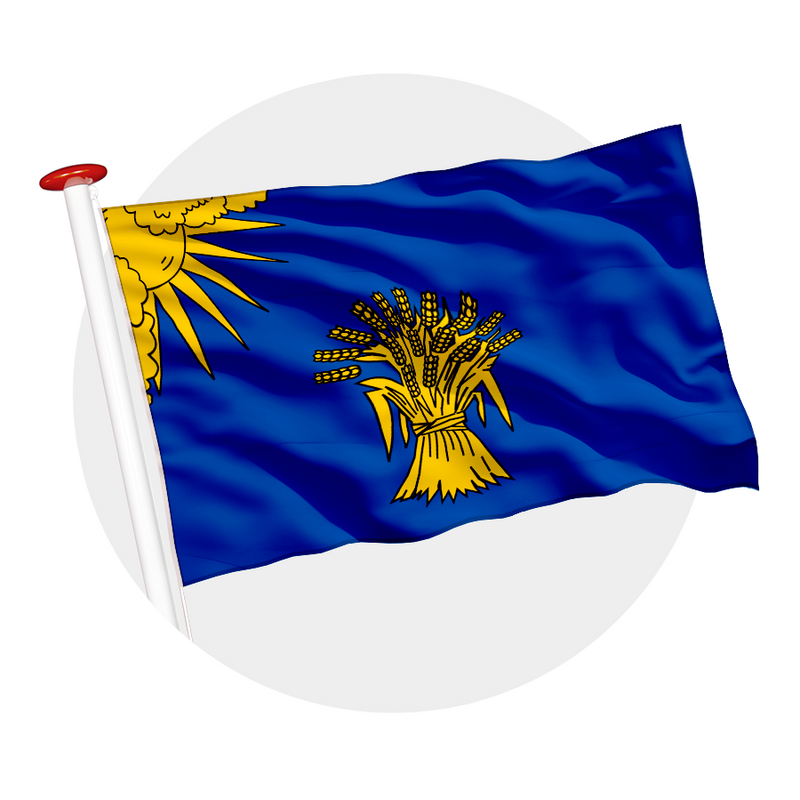 Vlag Reusel-De Mierden