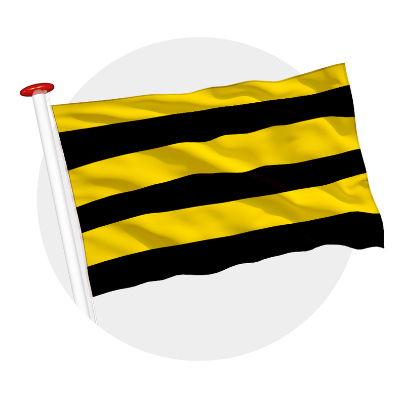 Vlag Schiedam