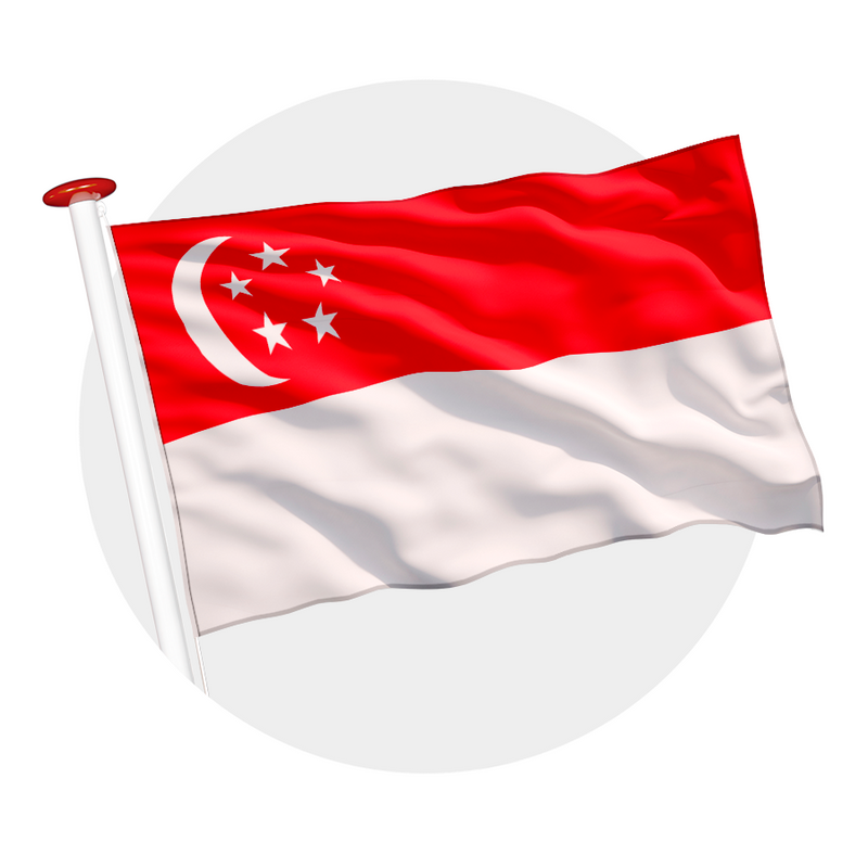Vlag Singapore
