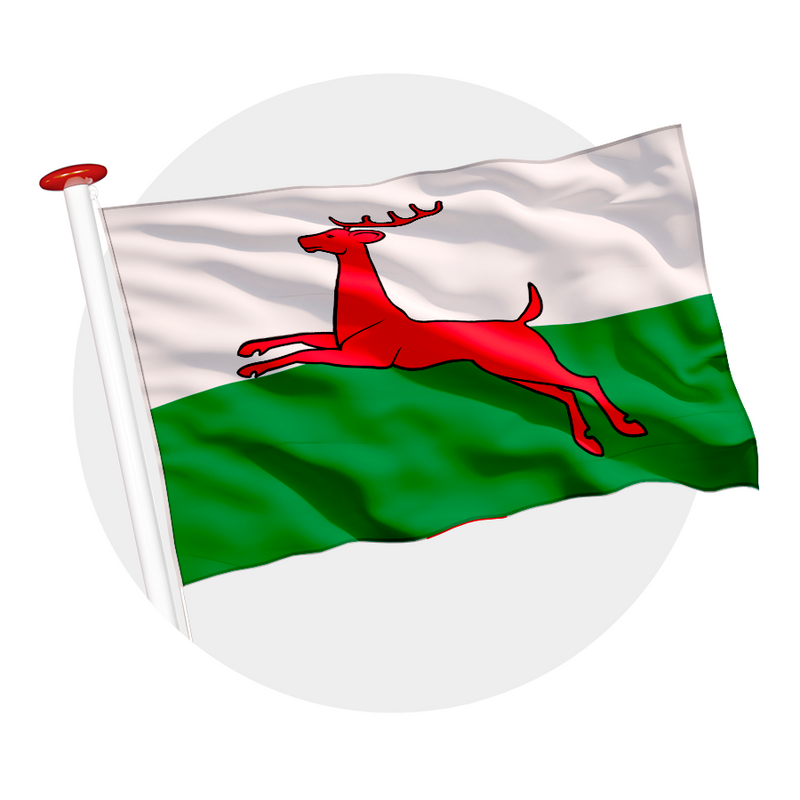 Vlag Smallingerland