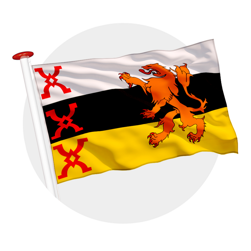 Vlag Someren