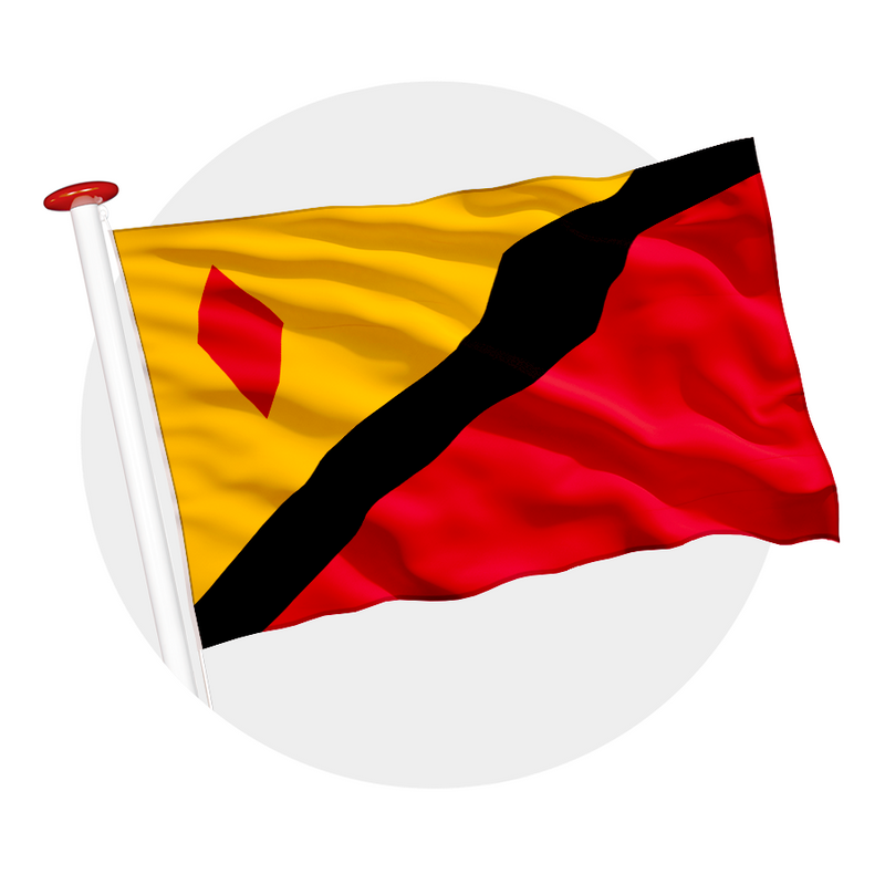Vlag Stein