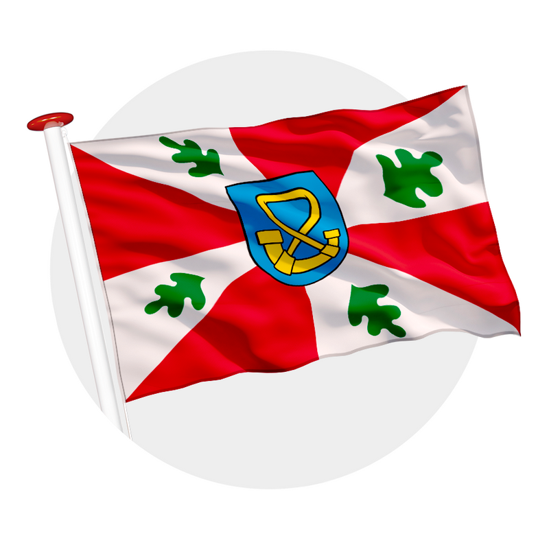 Vlag Tytsjerksteradiel