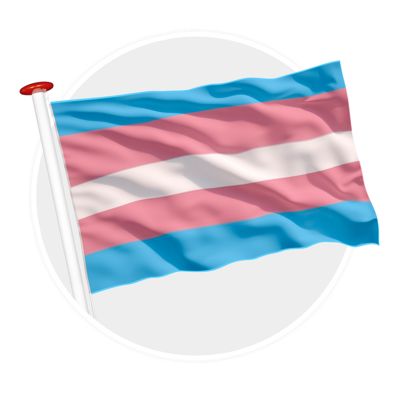 Transgender Pride vlag
