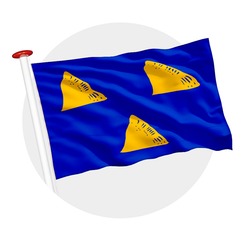 Vlag Tubbergen