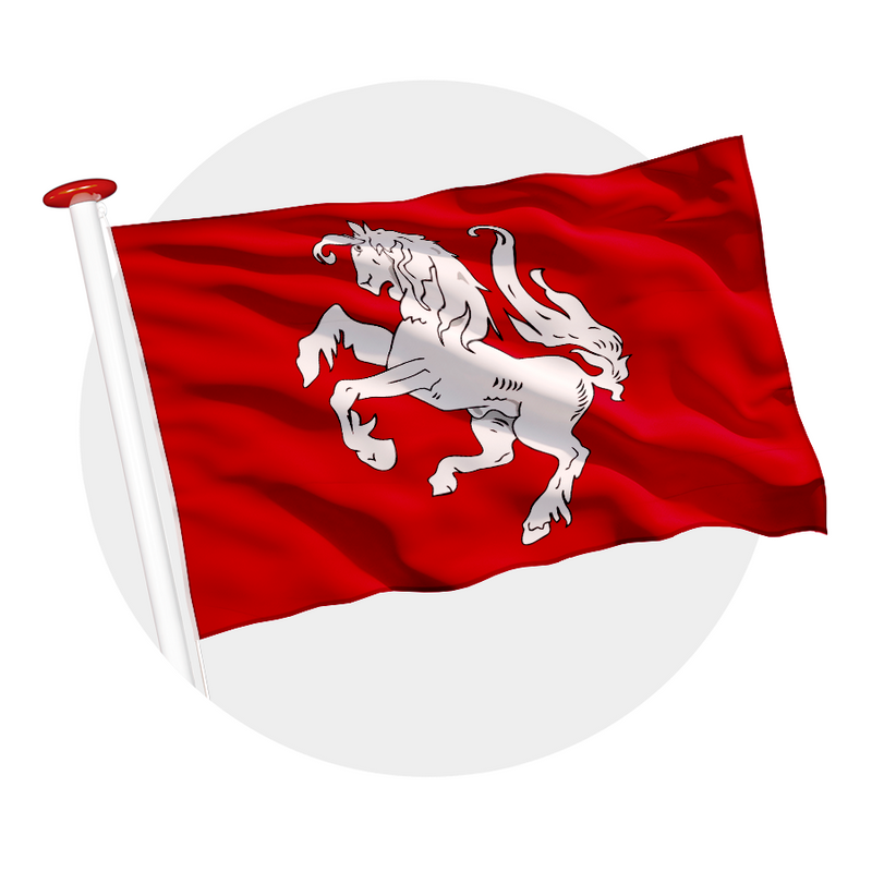 Vlag Twentse Ros