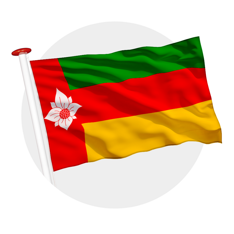 Vlag Tynaarlo