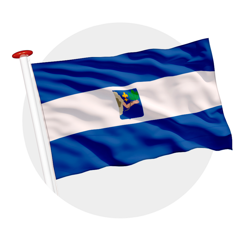 Vlag Veendam