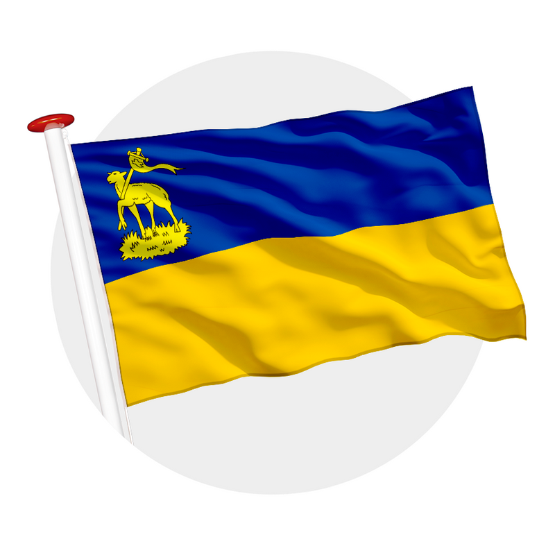 Vlag Velsen