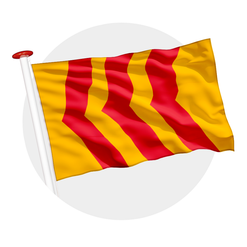 Vlag Voorst