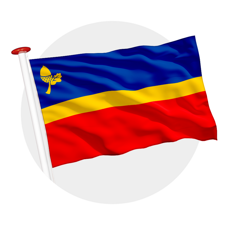 Vlag Waalre