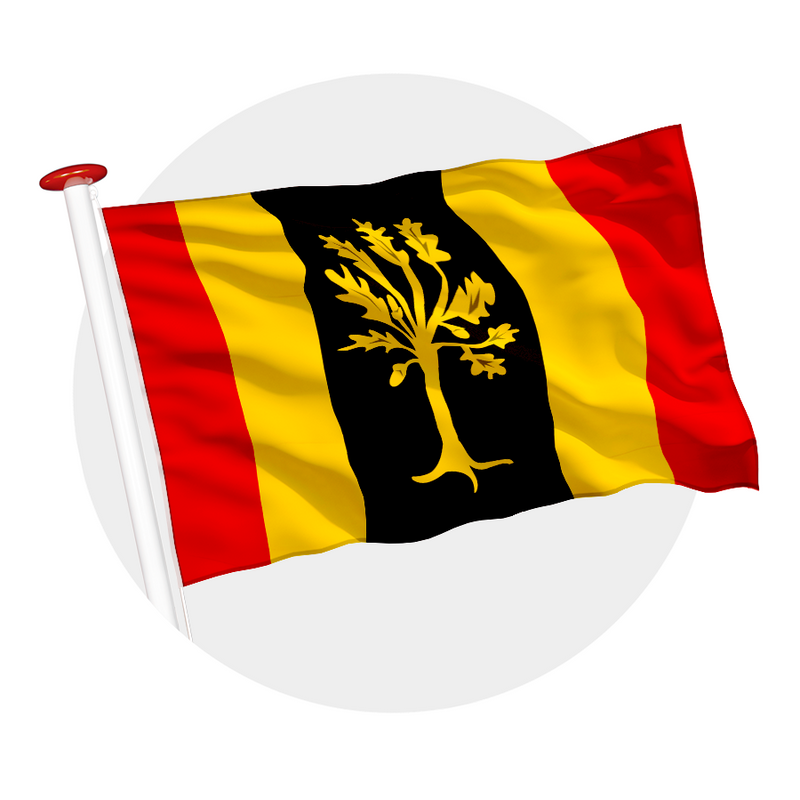 Vlag Waalwijk