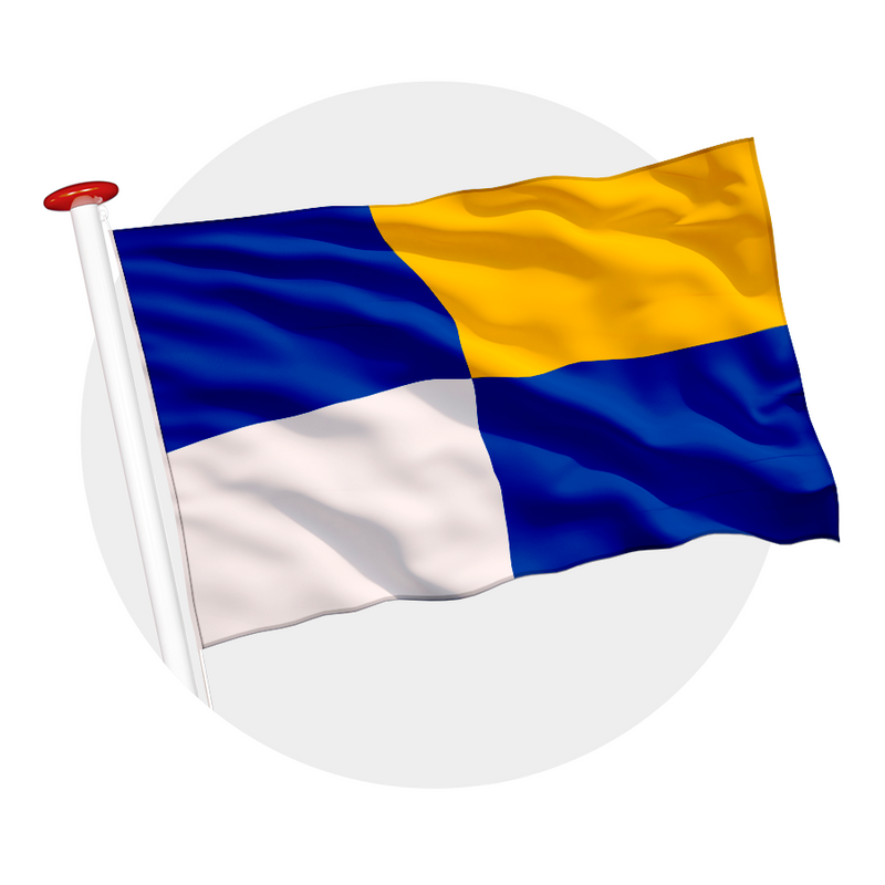 Vlag Winterswijk