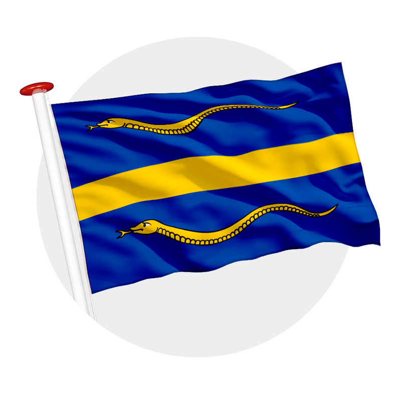 Vlag Pijnacker-Nootdorp
