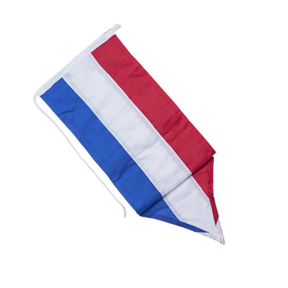 Nederlandse fluisterwimpel