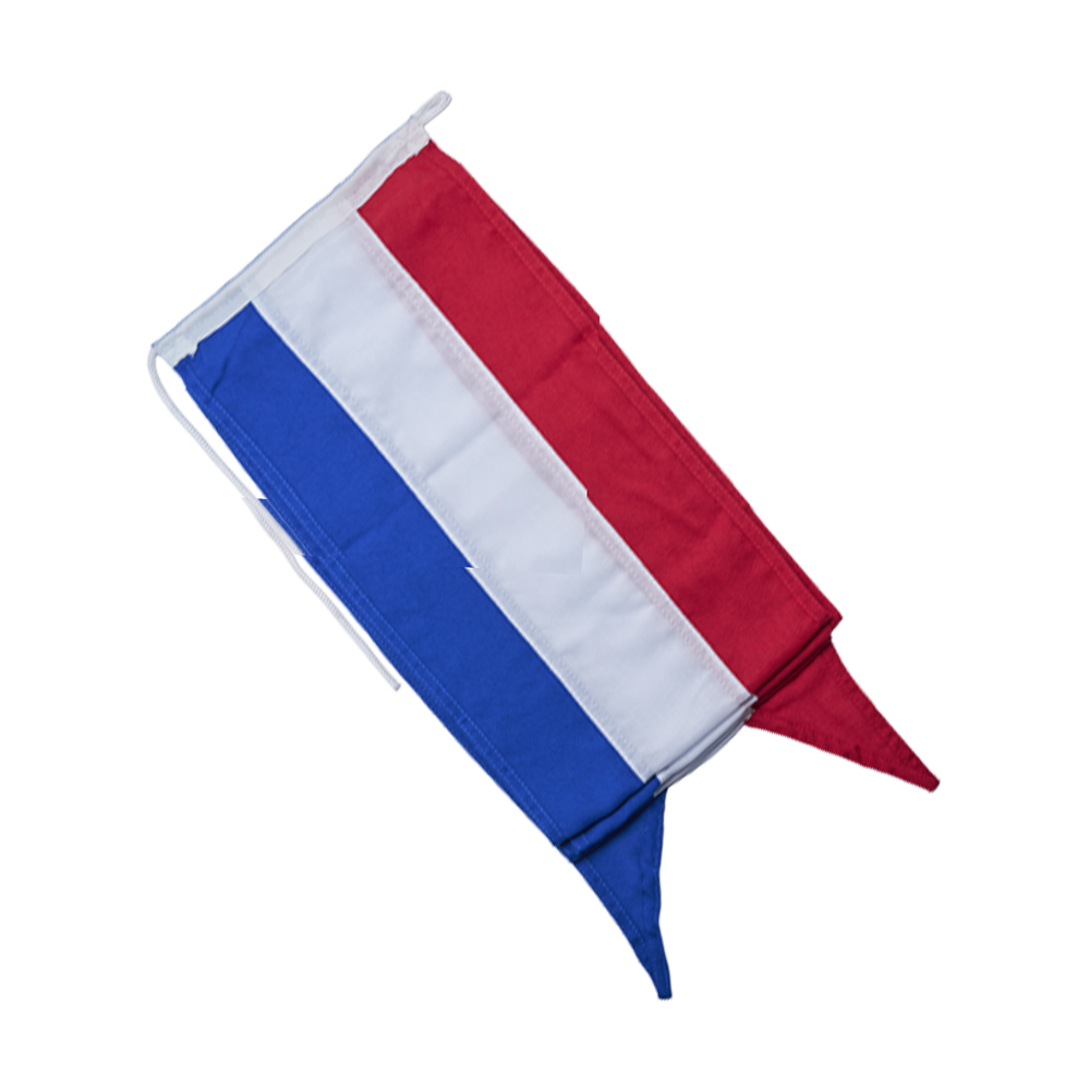 Nederlandse fluisterwimpel