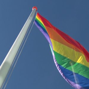 Regenboog vlag